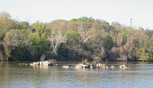 The Three Sisters islets in the Potomac River. Photo from Wikipedia.
